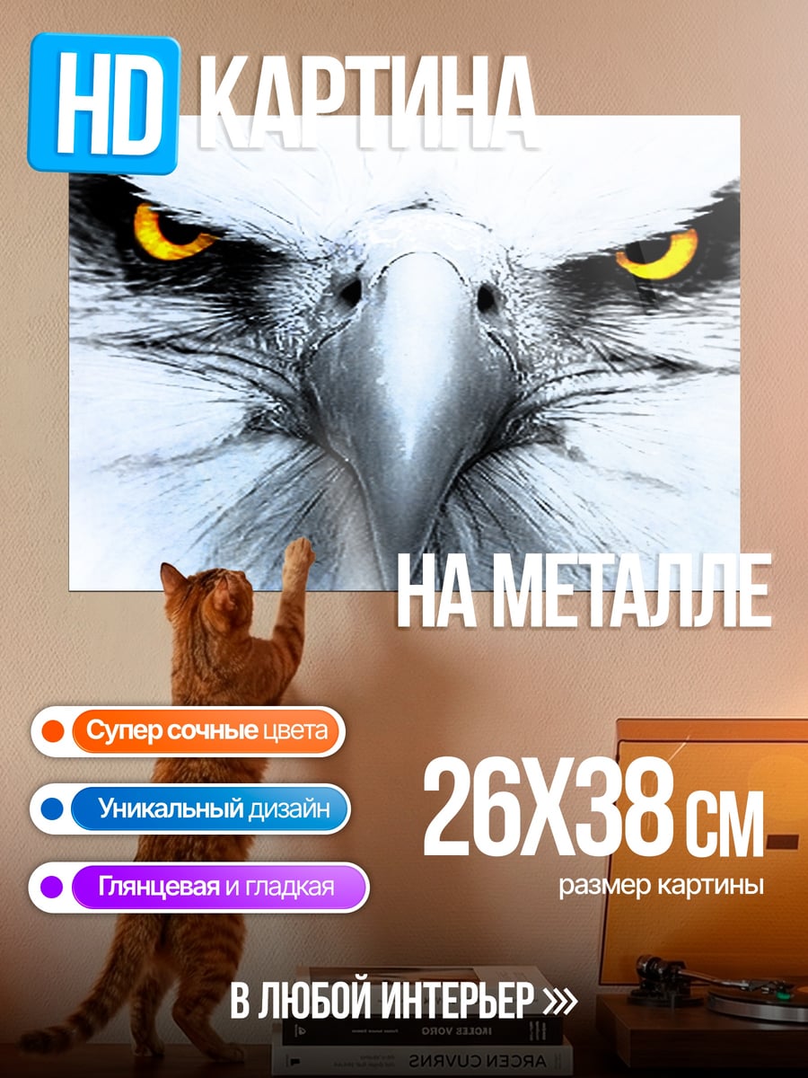 Картина на металле Орел с желтыми глазами
