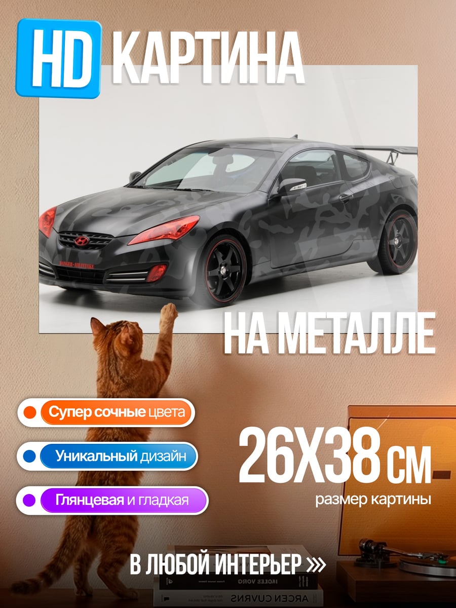 Картина на металле Черный спорткар