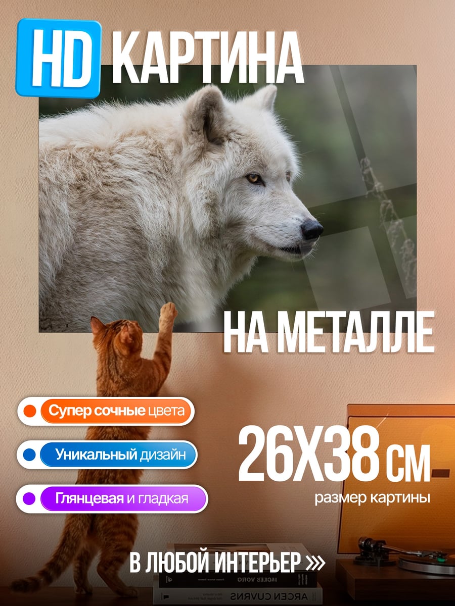 Картина на металле Белый волк в лесу