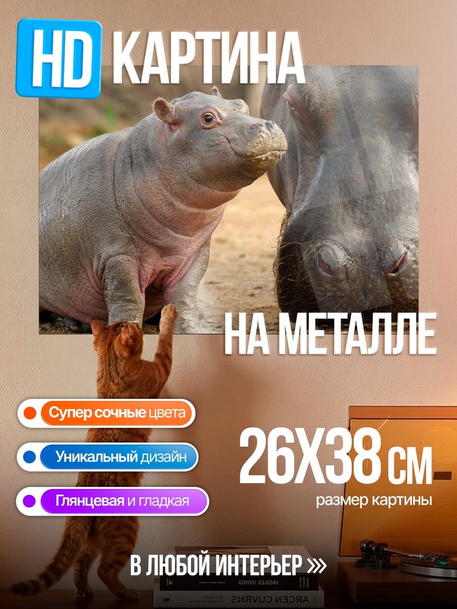 Картина на металле Мама и малыш бегемоты