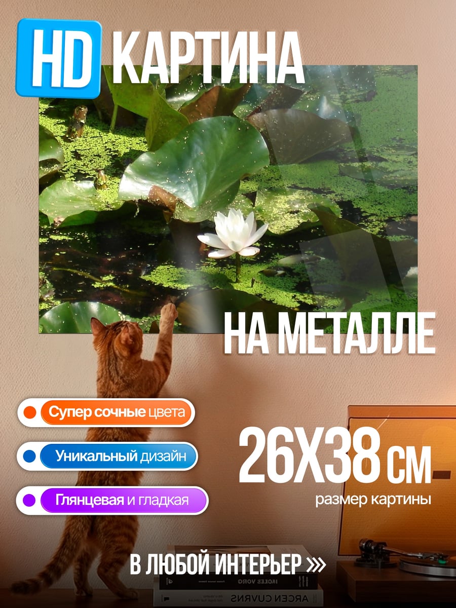 Картина на металле Цветок на воде