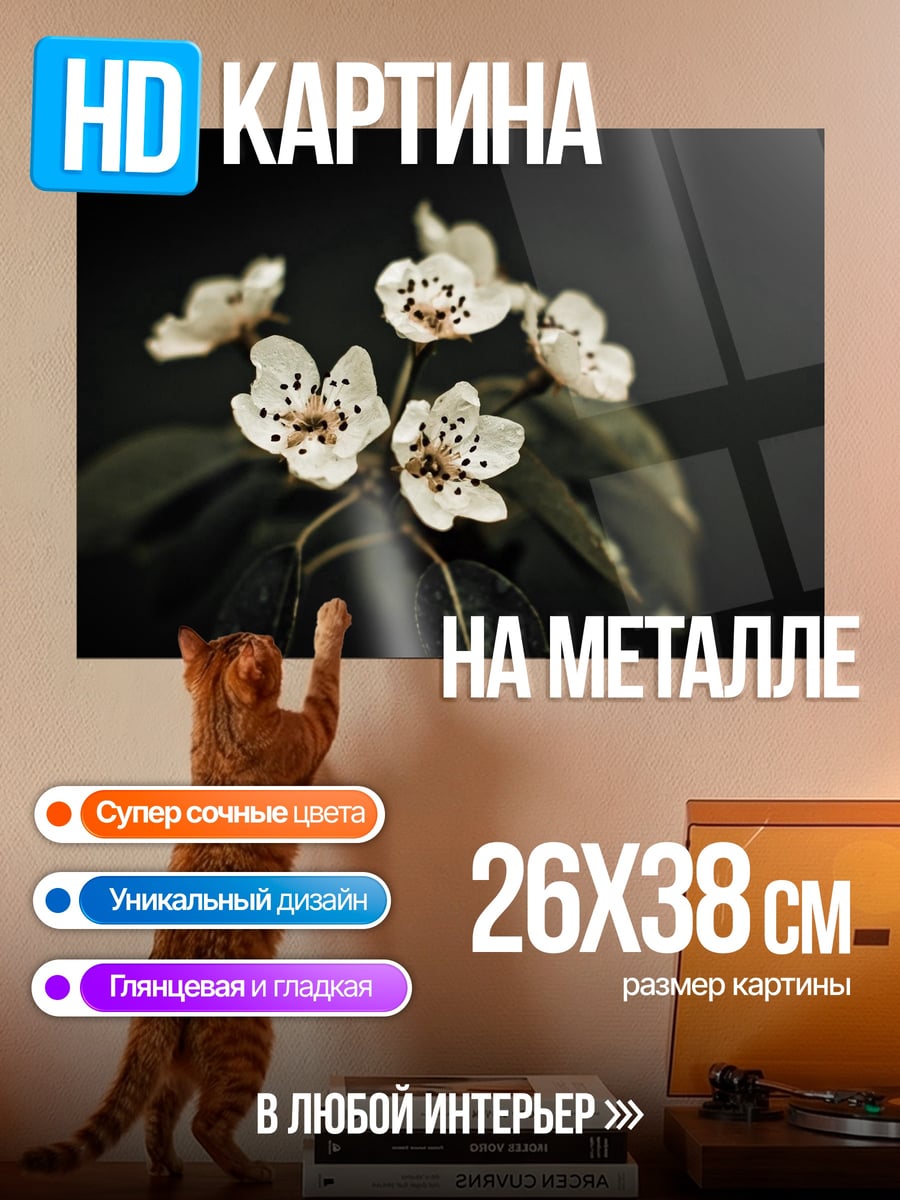 Картина на металле цветущая ветка сакуры