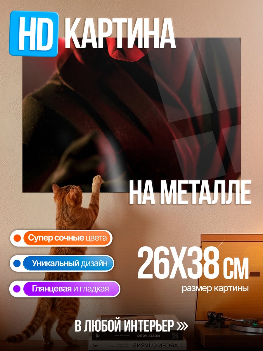 Картина на металле Дарт Мол звёздные