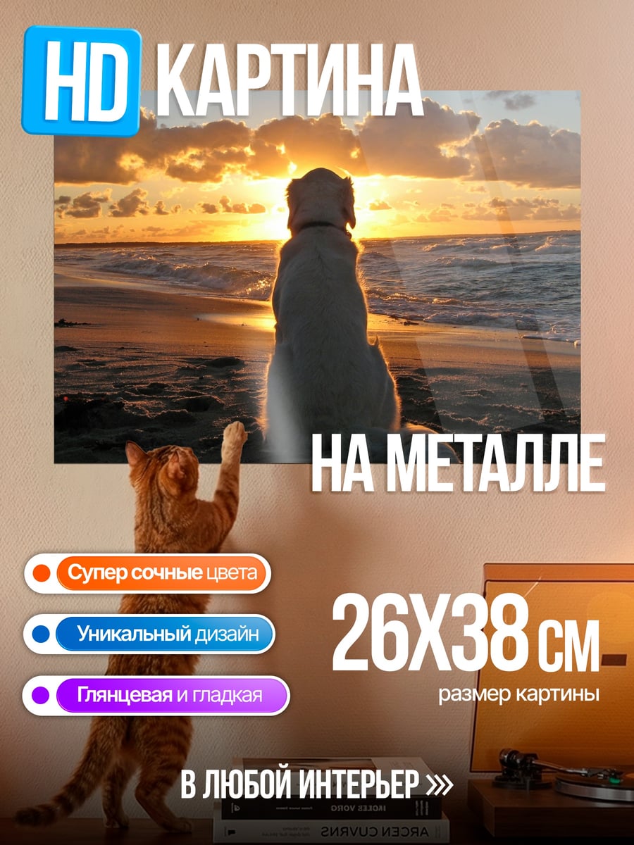 Картина на металле собака на пляже