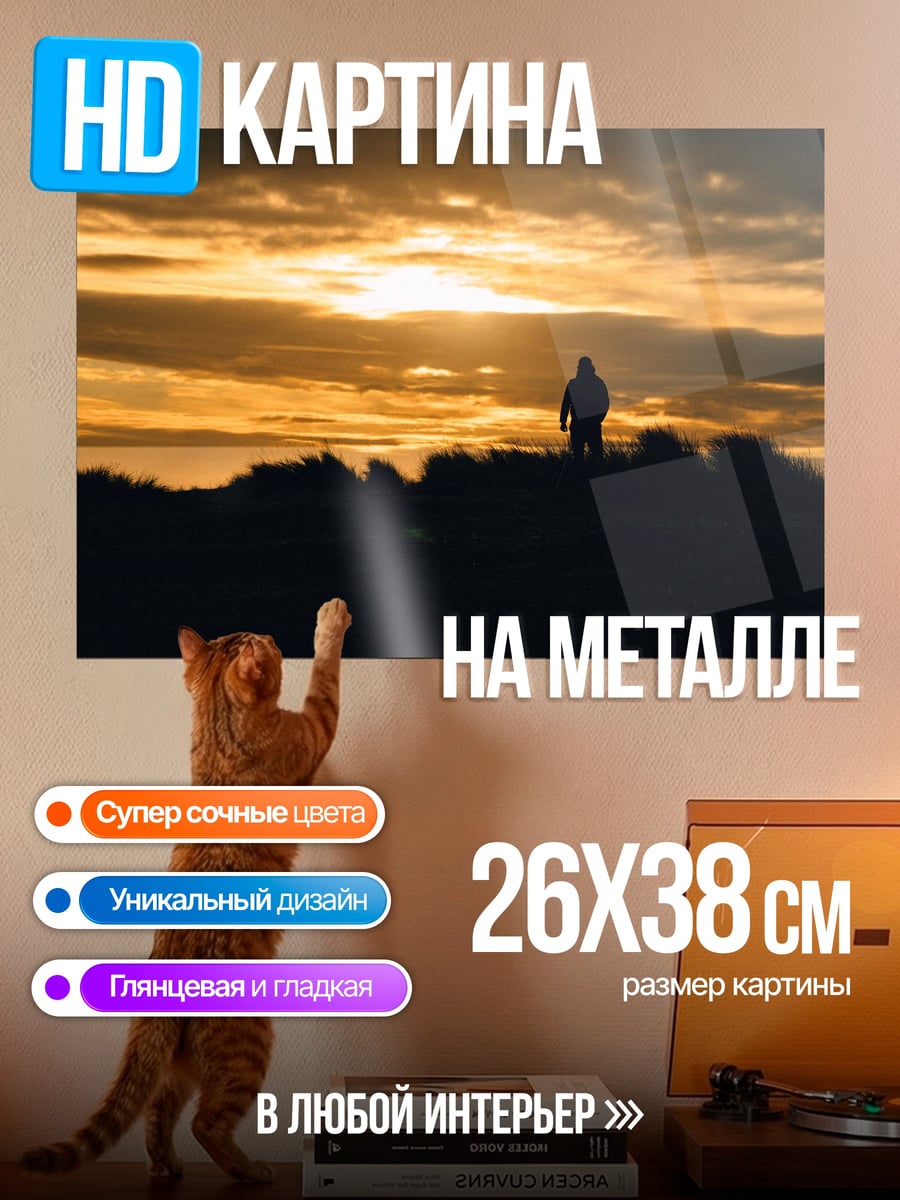 Картина на металле одинокий человек закат