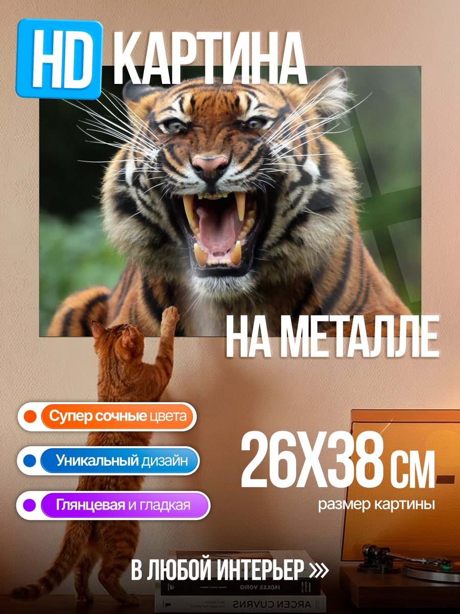 Картина на металле Рычащий тигр