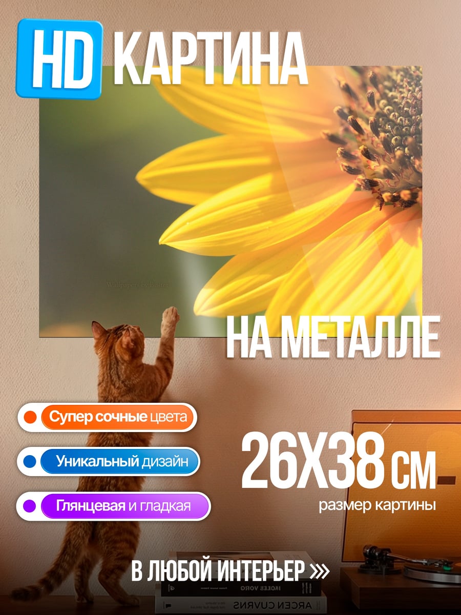 Картина на металле яркий подсолнух крупным планом