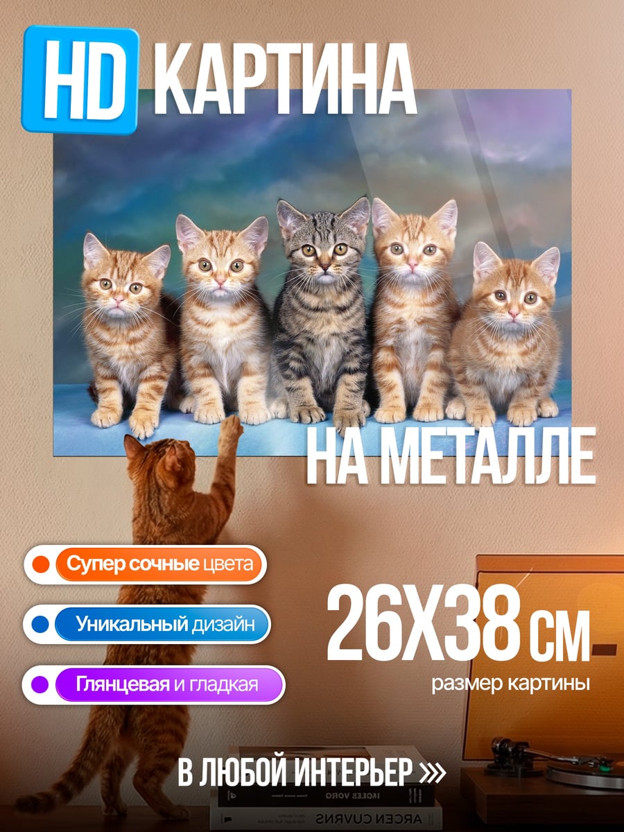 Картина на металле пятеро котят вместе