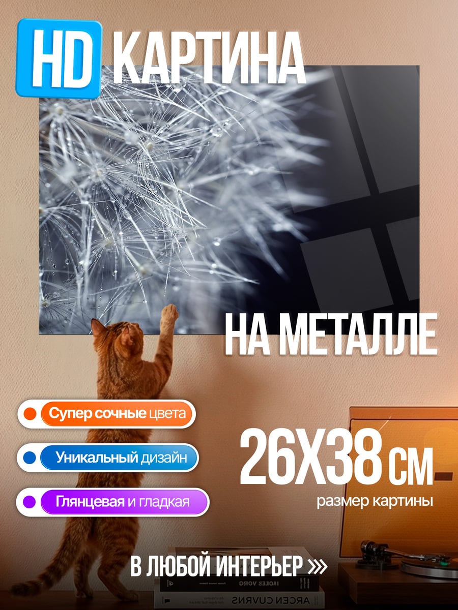 Картина на металле одуванчик капли росы