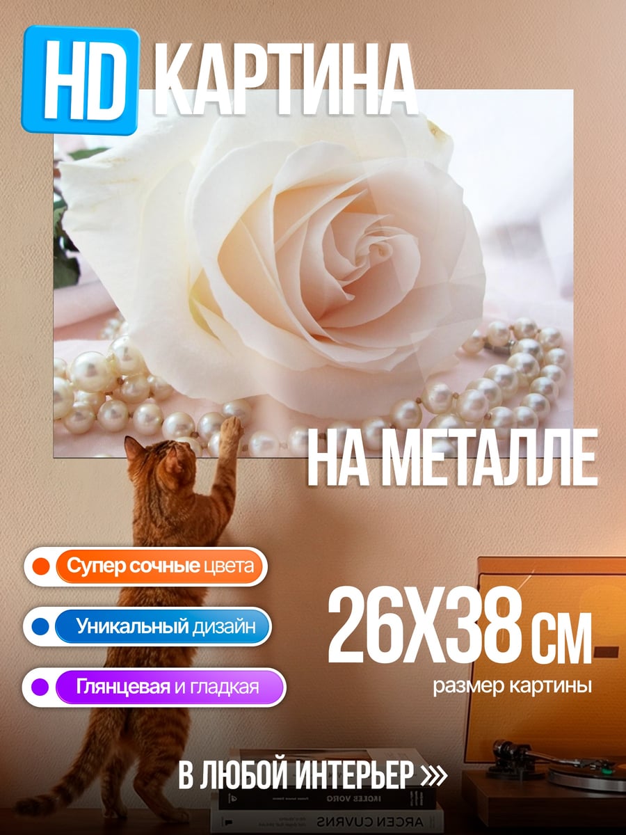 Картина на металле белая роза жемчуг