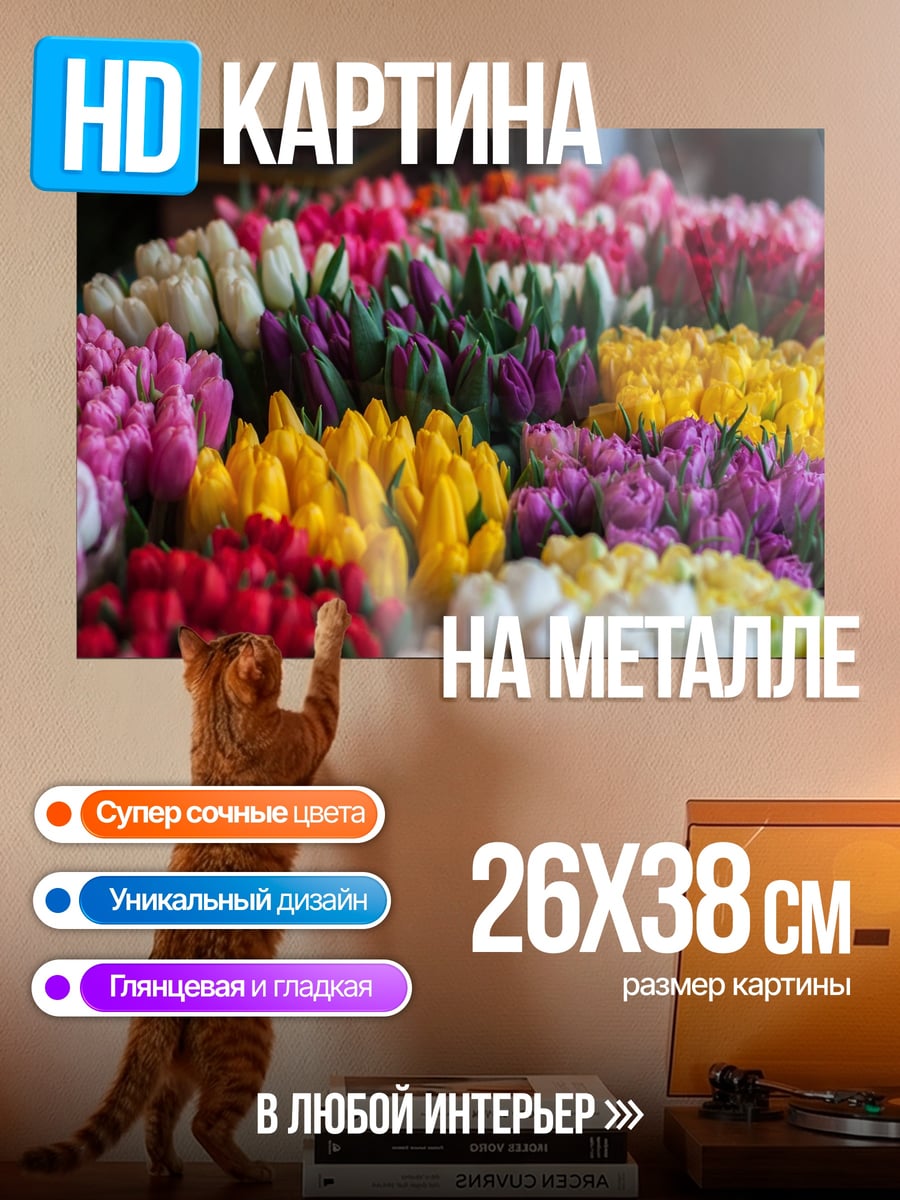 Картина на металле Букет тюльпа тюльпанов