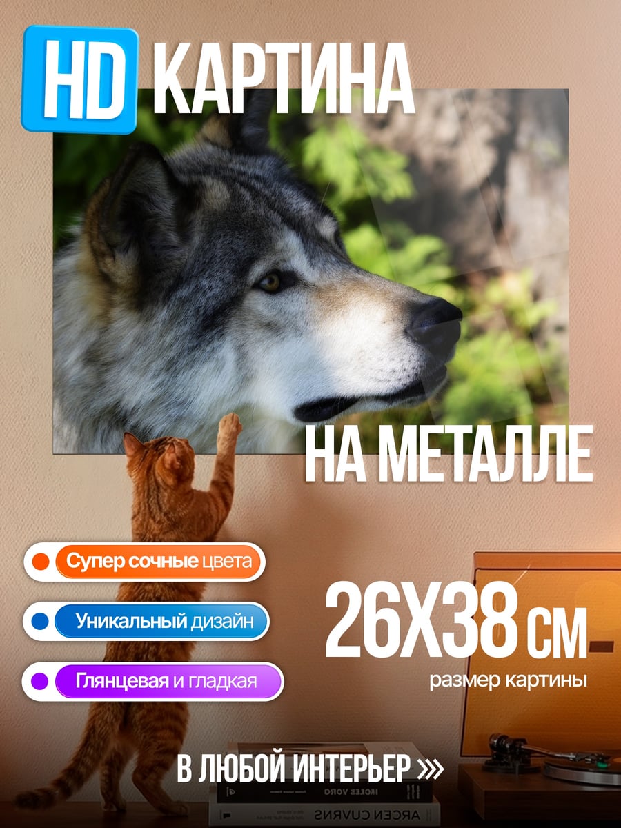 Картина на металле Дикий волк