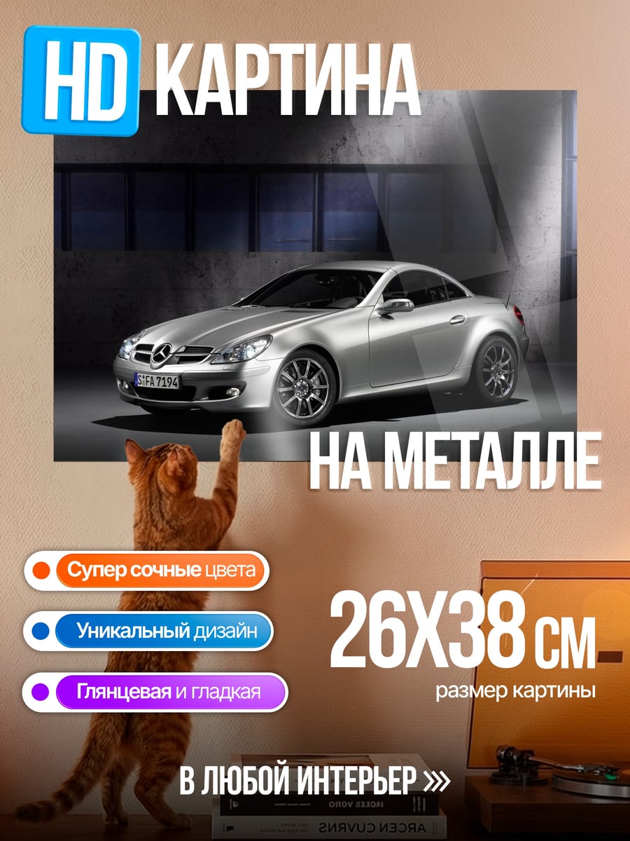 Картина на металле Спортивное купе