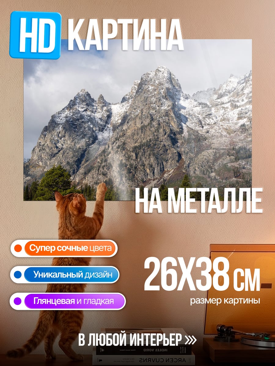 Картина на металле Снежные горы