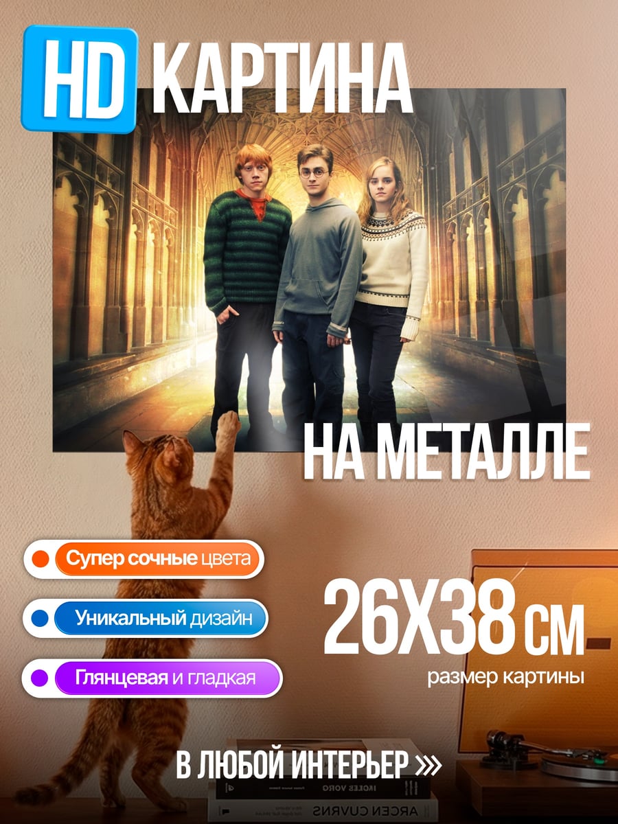 Картина на металле Гарри Поттер