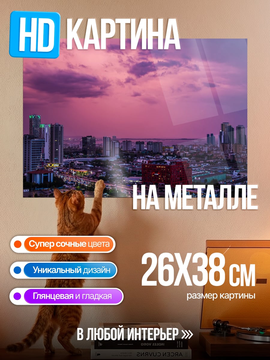 Картина на металле городской закат