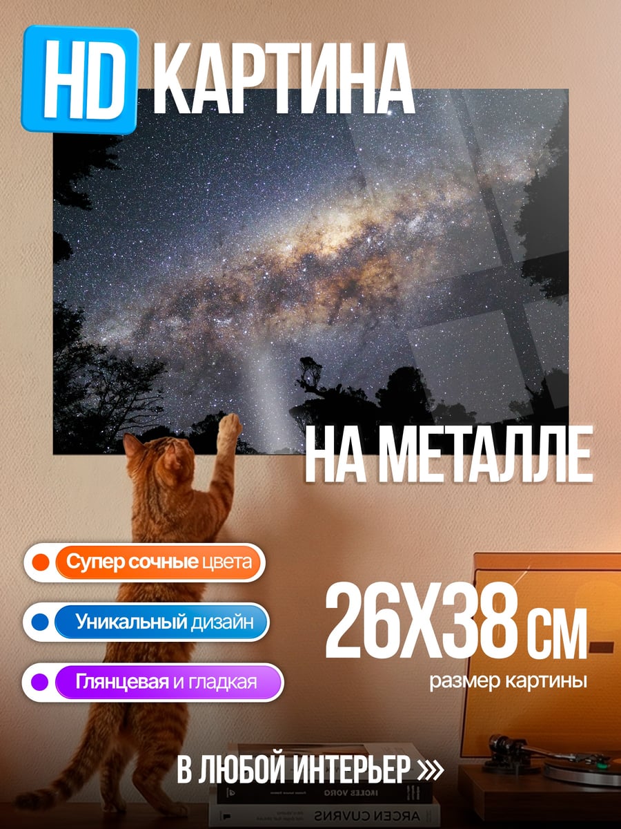 Картина на металле млечный путь над лесом
