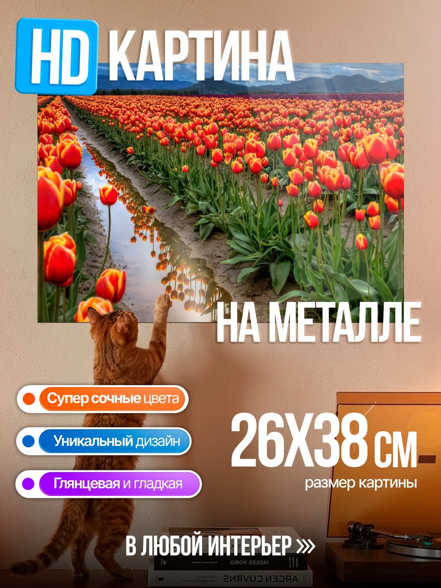 Картина на металле поле красных тюльпанов