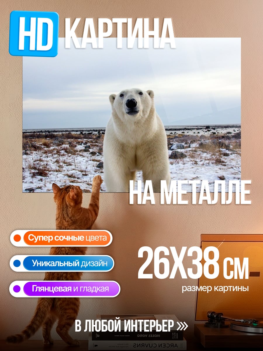 Картина на металле Белый медведь в тундре