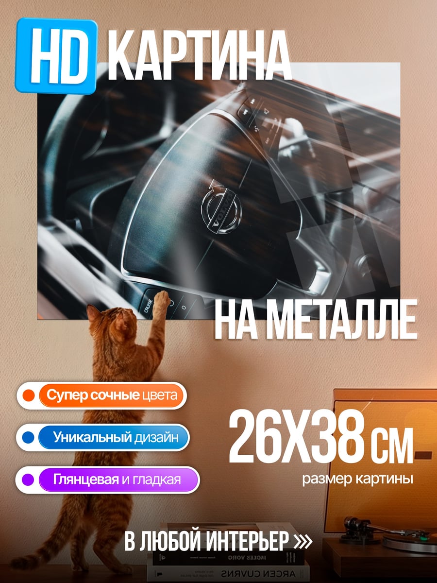 Картина на металле Руль автомобиля крупным планом