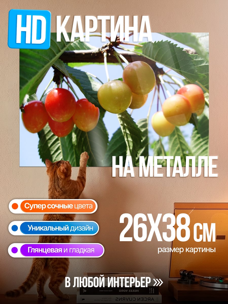 Картина на металле Спелая вишня на ветке