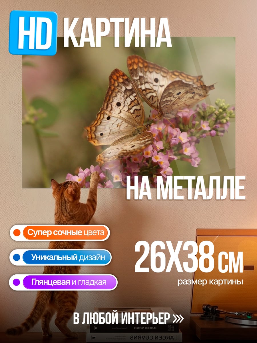 Картина на металле Две бабочки на цветке