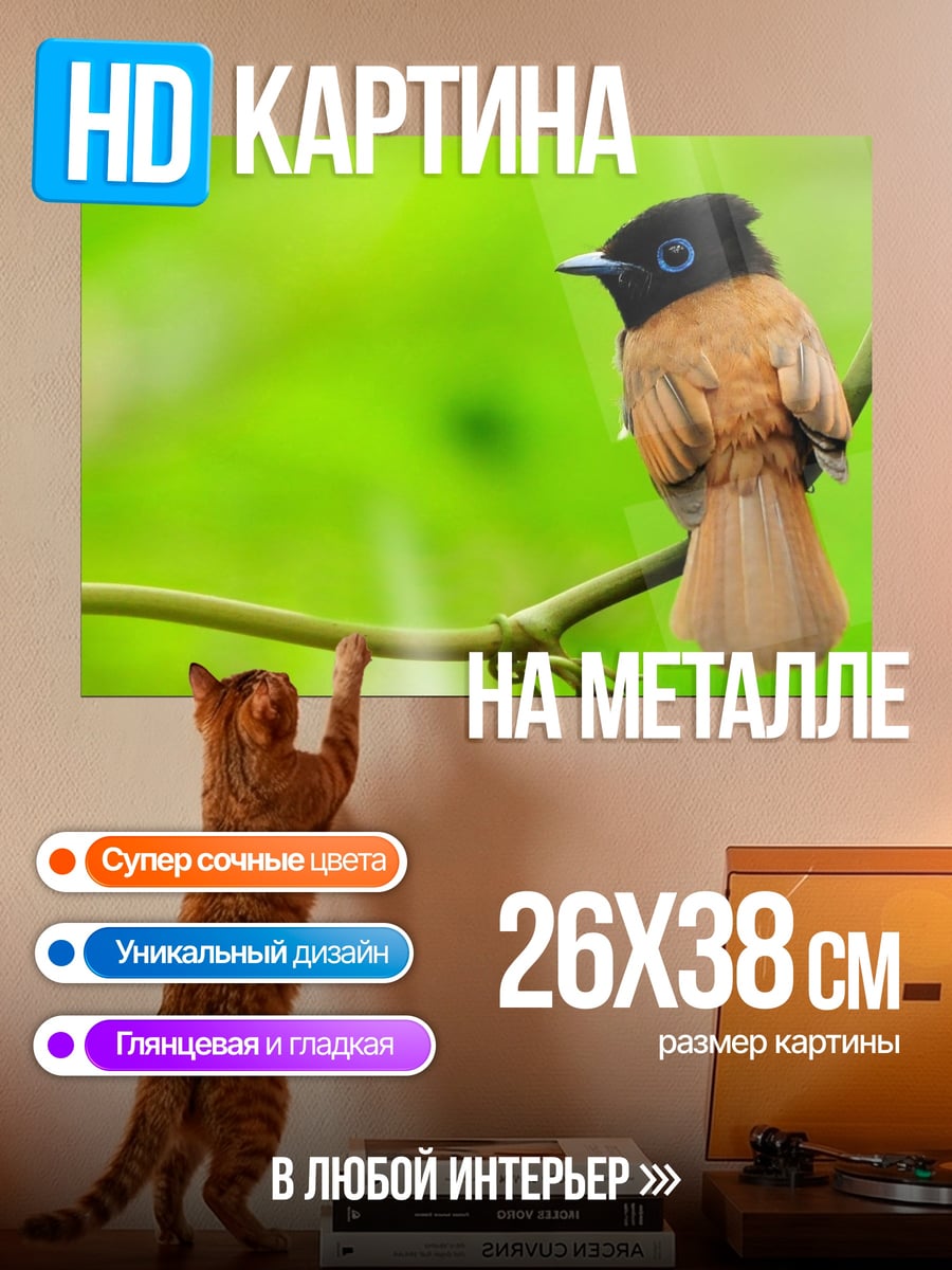 Картина на металле Птица на ветке