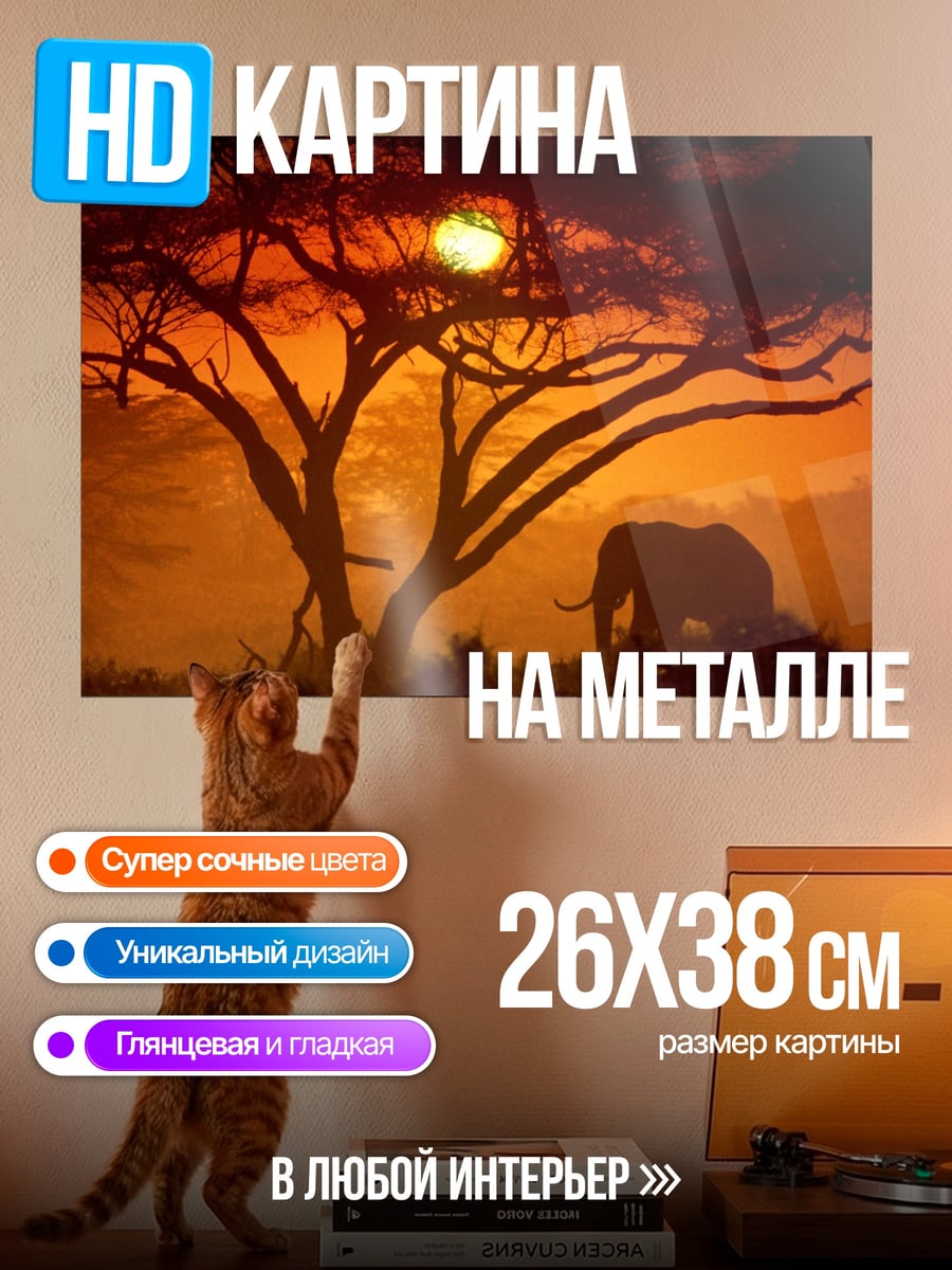 Картина на металле Слон на закате