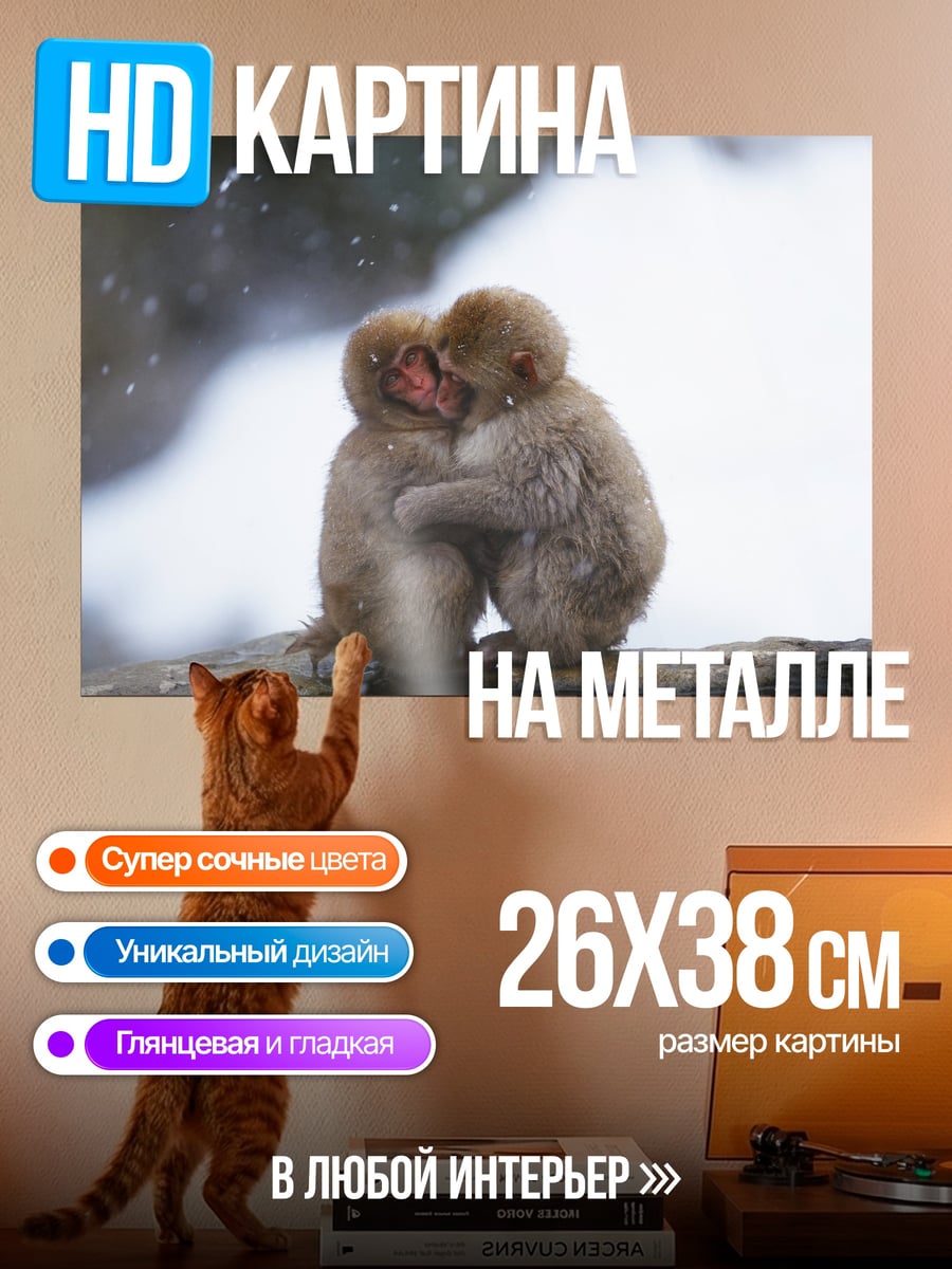 Картина на металле Обнимающиеся обезьяны