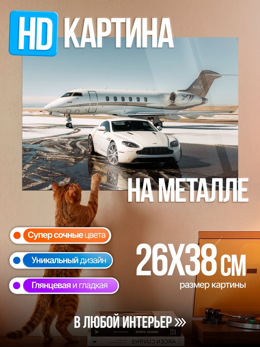 Картина на металле Авто и самолет