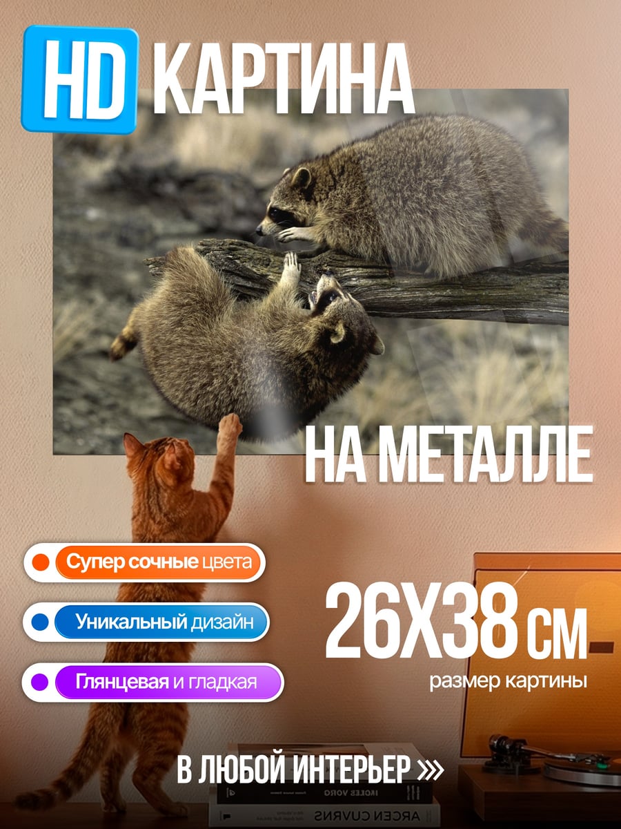Картина на металле Два енота на бревне