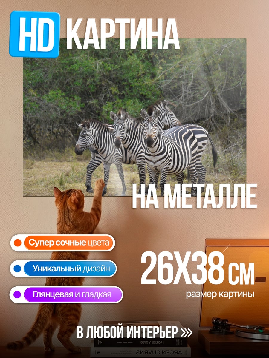 Картина на металле Стадо зебр