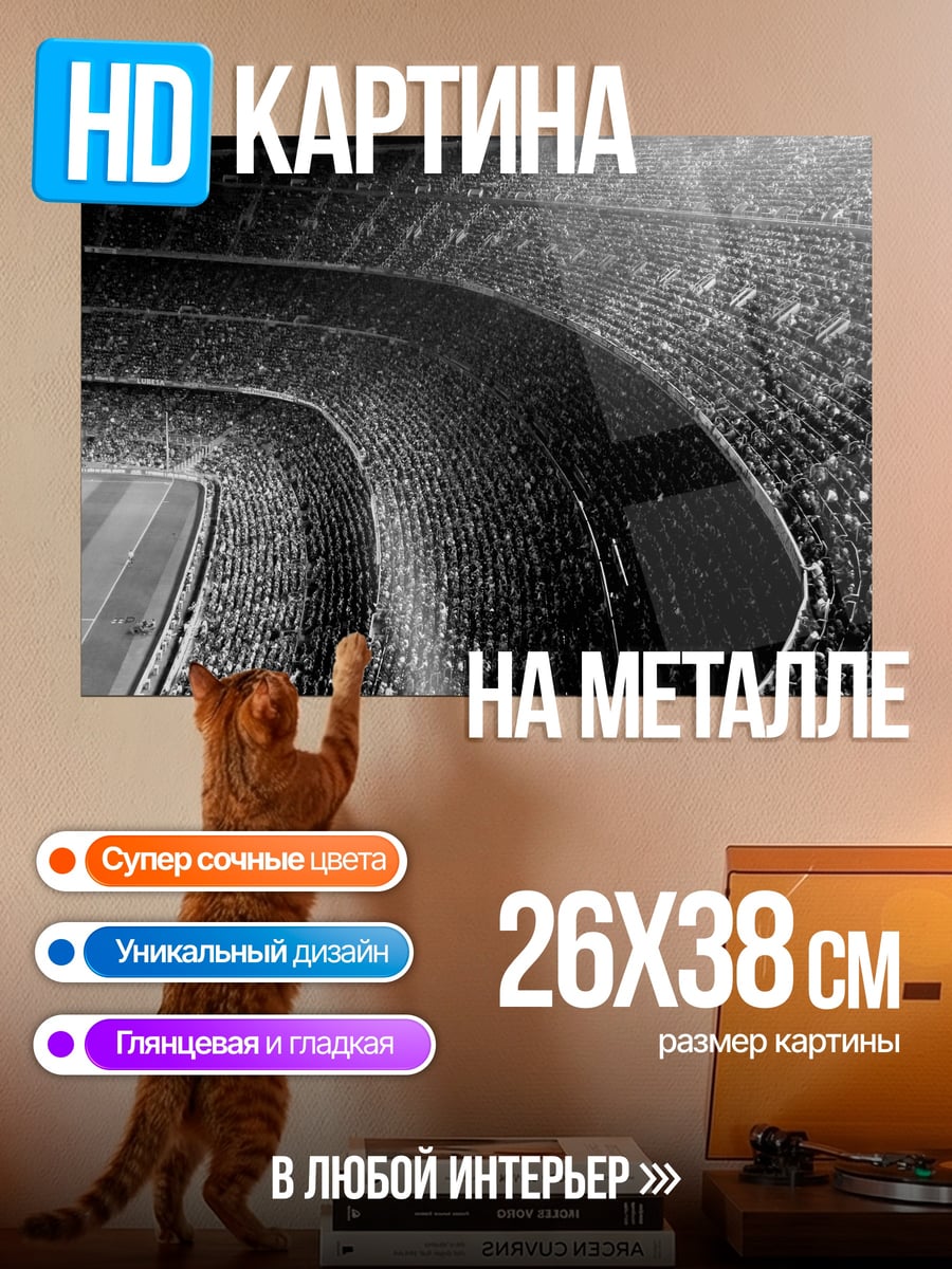 Картина на металле футбольный стадион