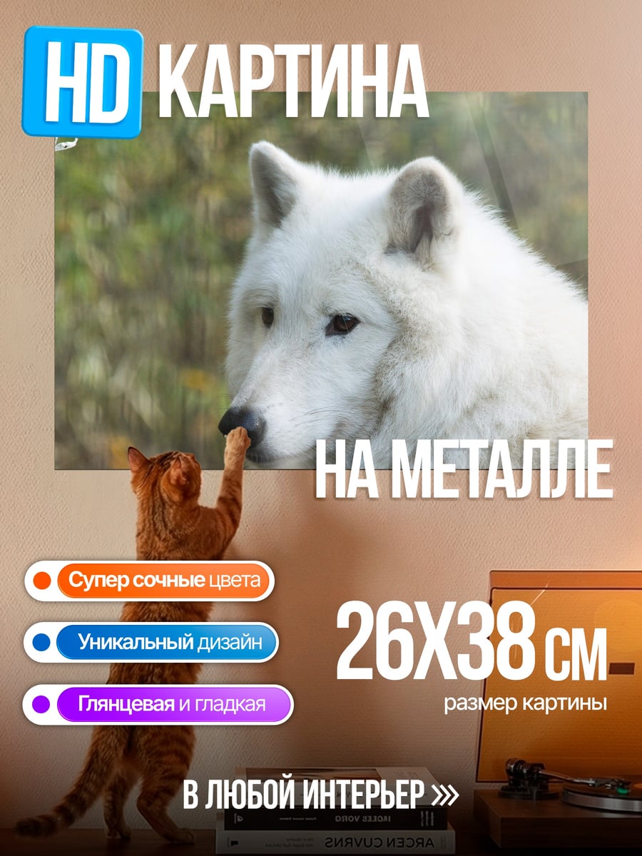 Картина на металле белый волк