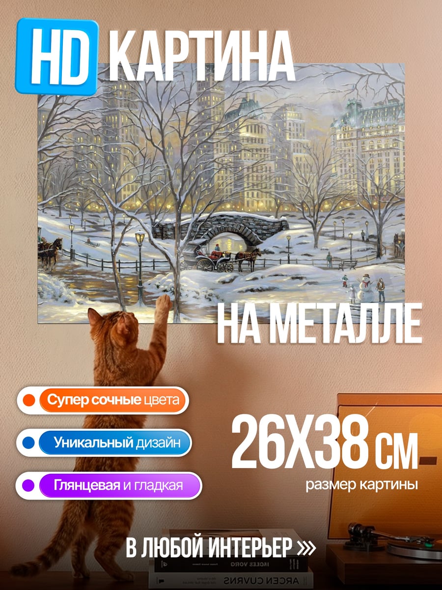Картина на металле Зимний Центральный парк