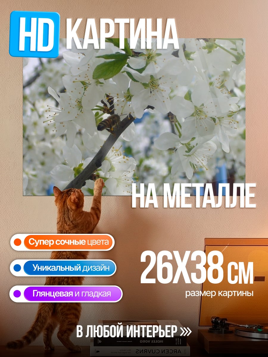 Картина на металле Цветущая Вишня