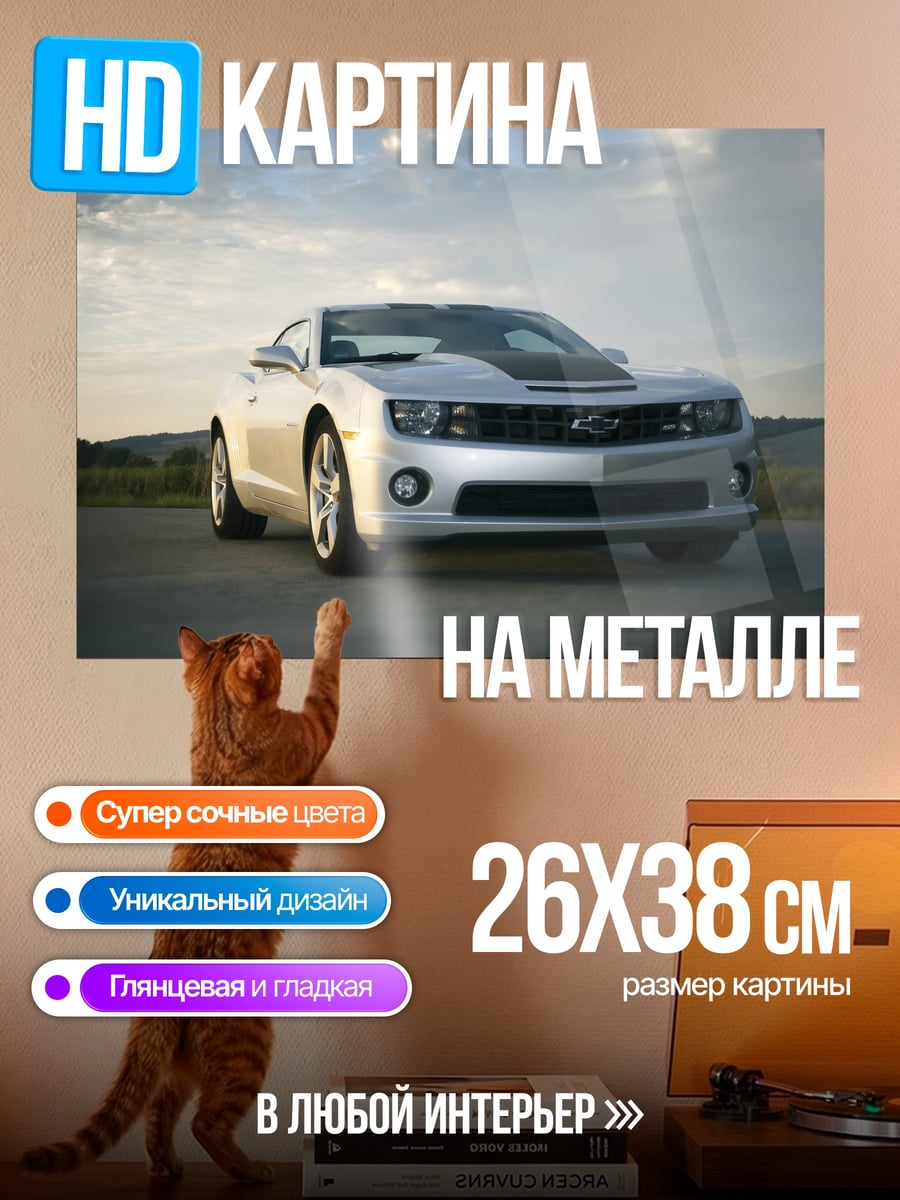 Картина на металле Серебристый спорткар