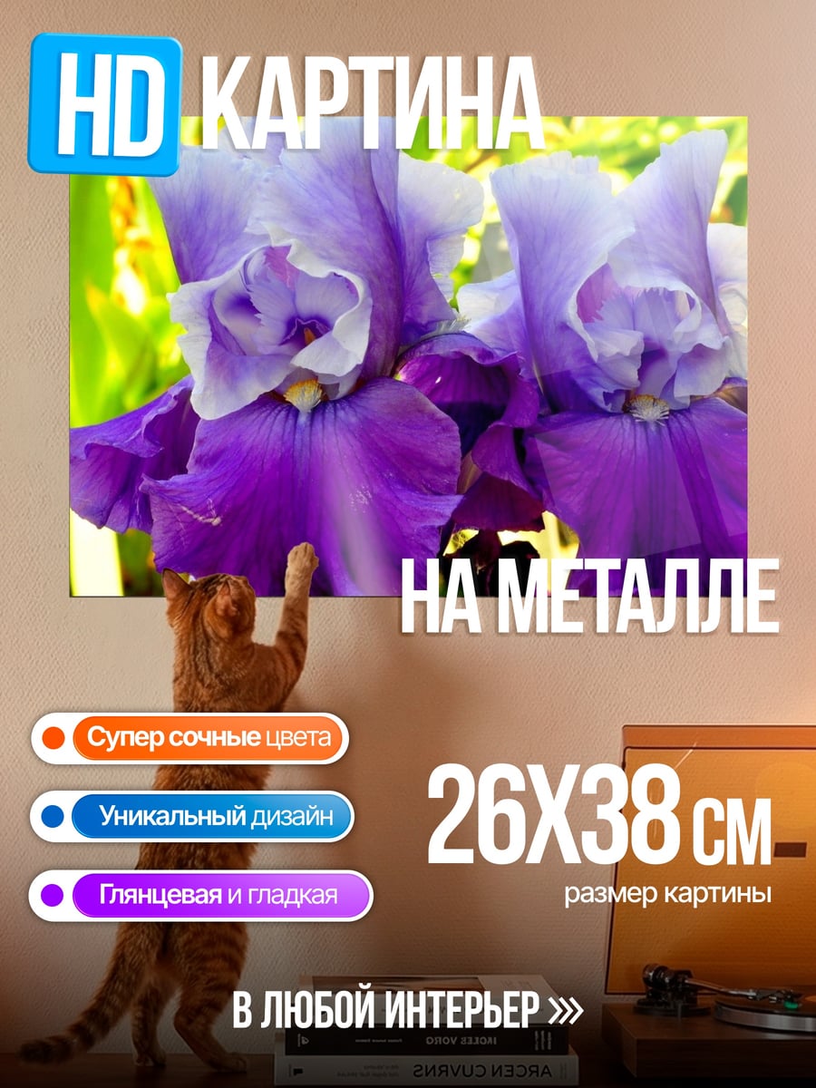 Картина на металле фиолетовые ирисы