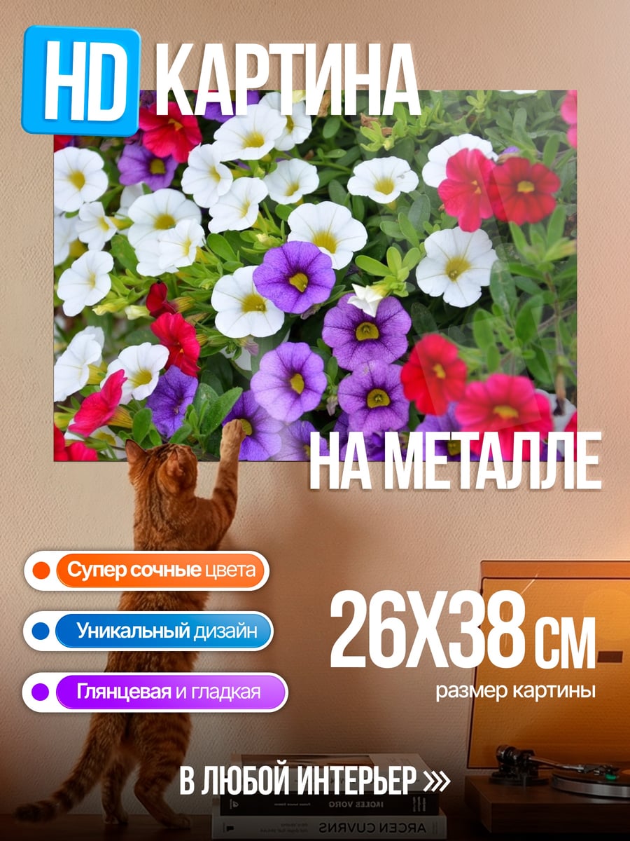 Картина на металле Цветочный ковер петунии