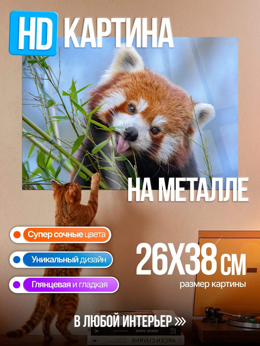 Картина на металле Рыжая панда ест
