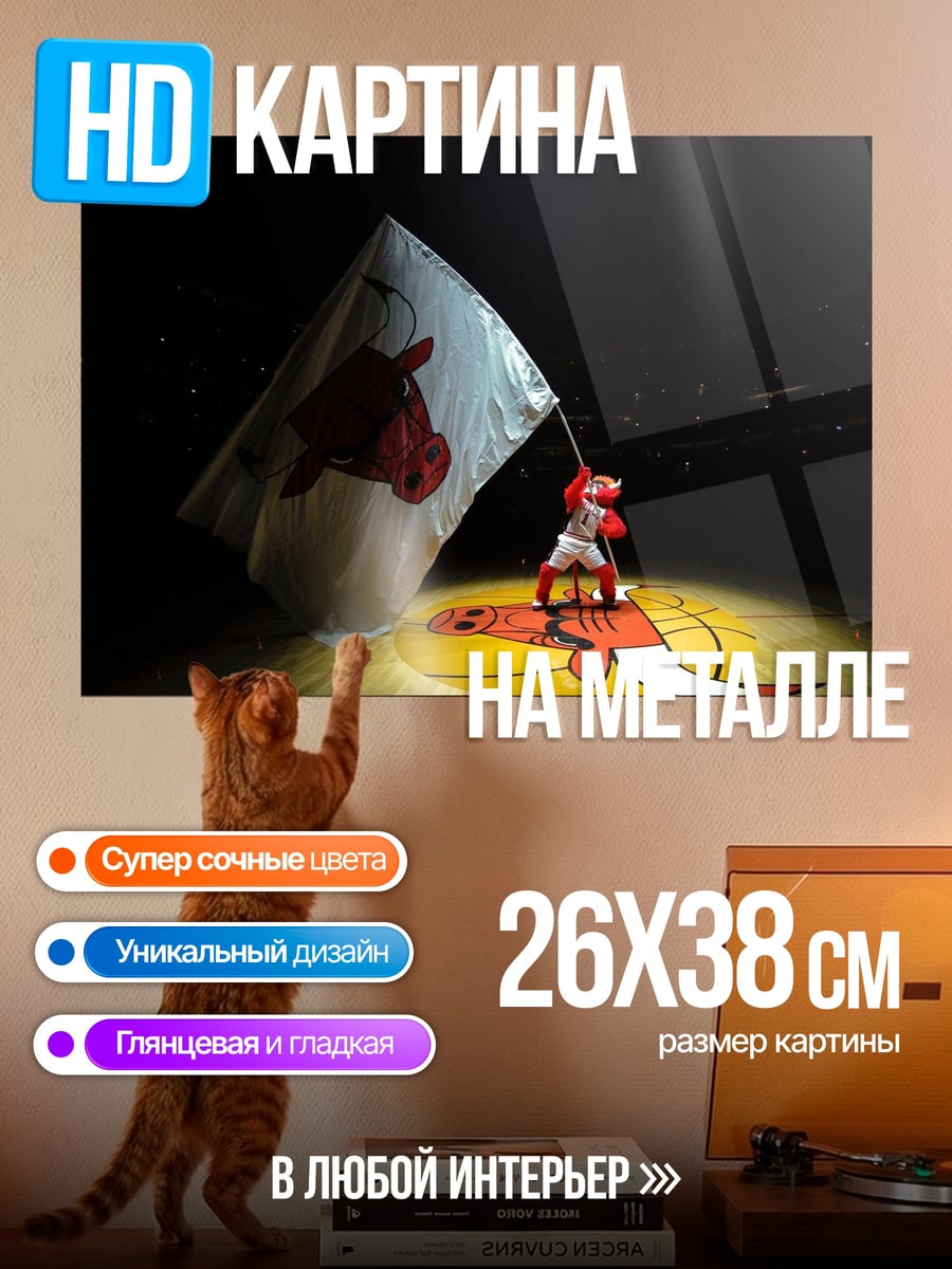 Картина на металле Бык Чемпион Флаг
