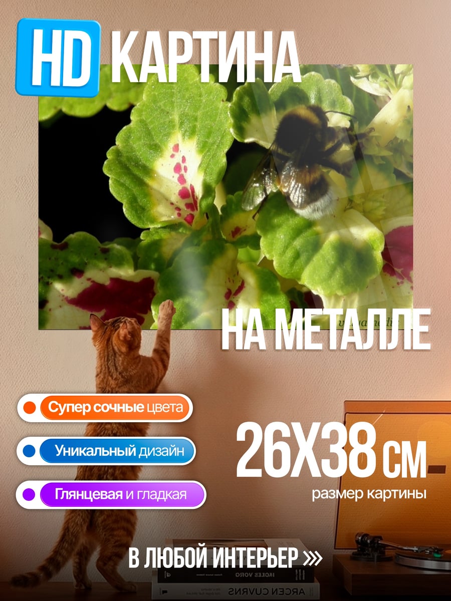 Картина на металле Шмель на цветке