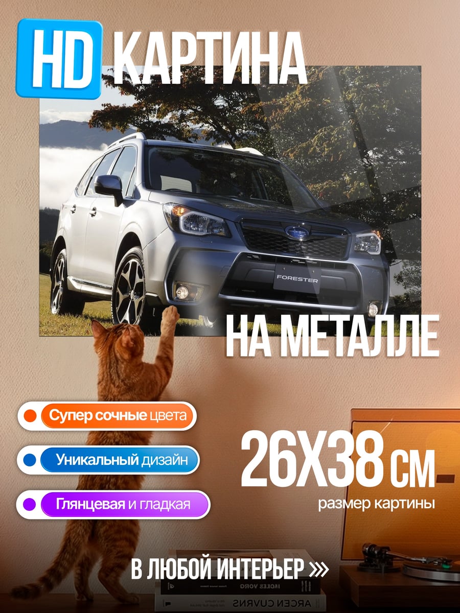 Картина на металле Синий внедорожник лес