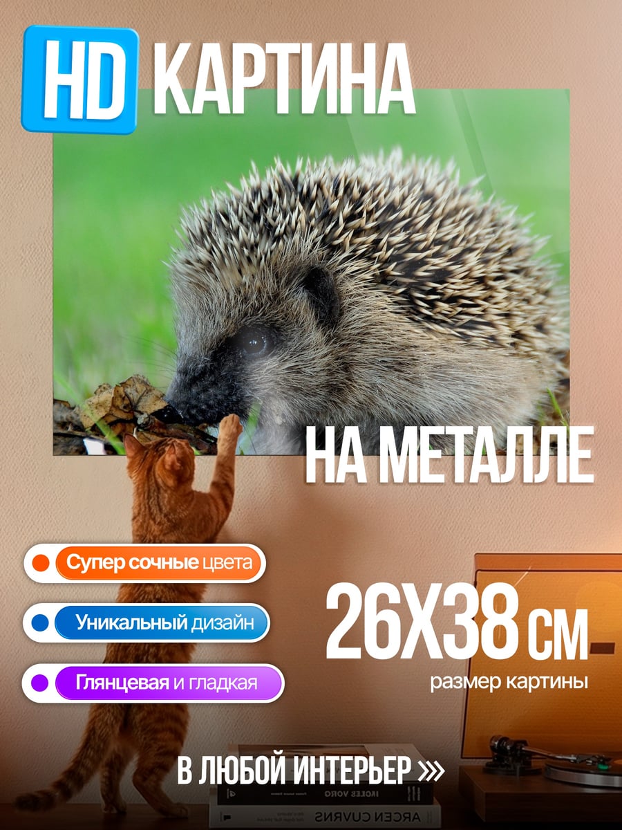 Картина на металле Ёжик в траве