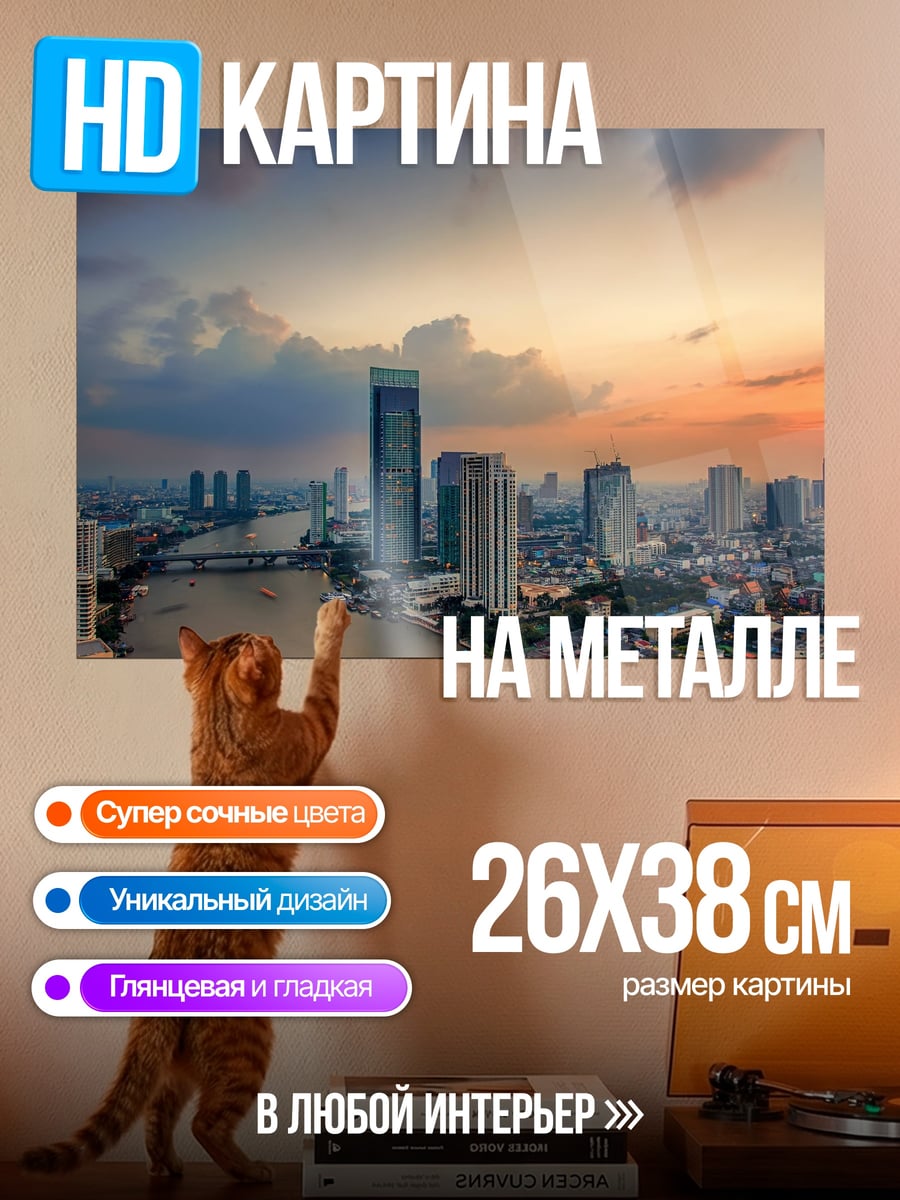 Картина на металле Городской пейзаж закат