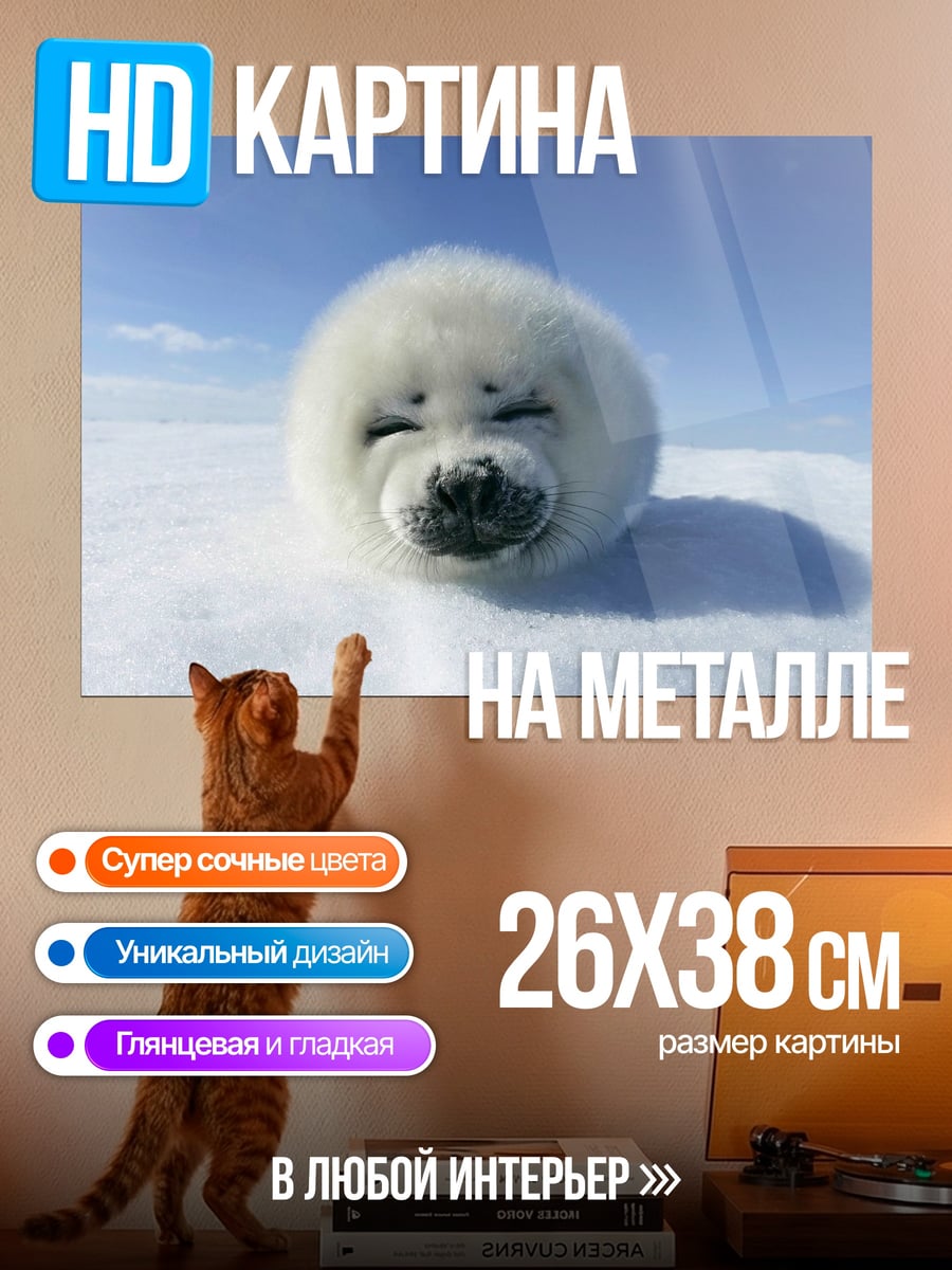 Картина на металле белёк тюленя