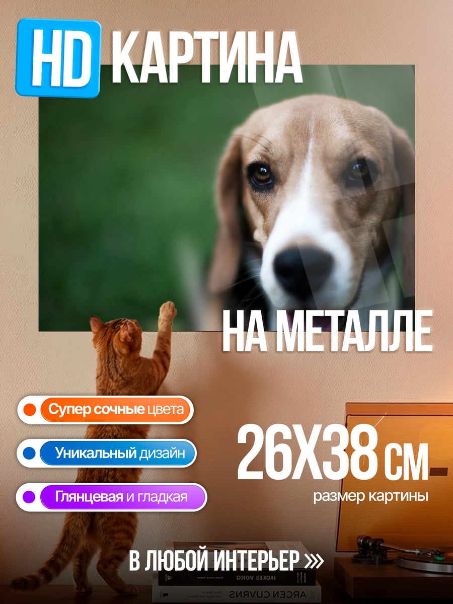 Картина на металле портрет бигля