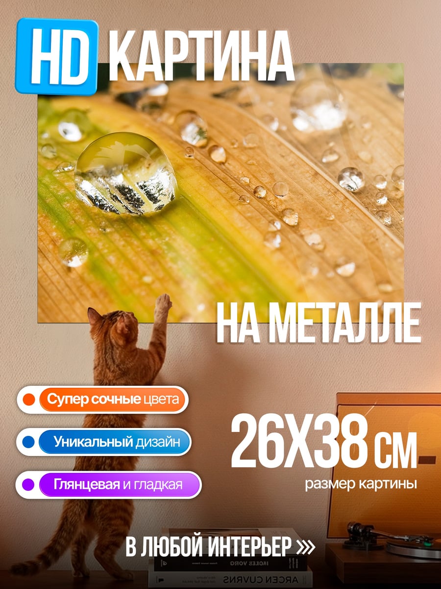 Картина на металле капли на листе