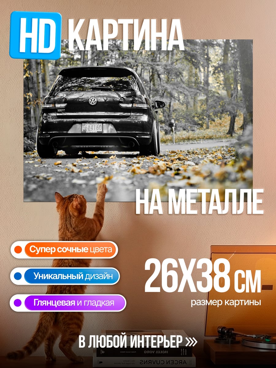 Картина на металле черный автомобиль в лесу