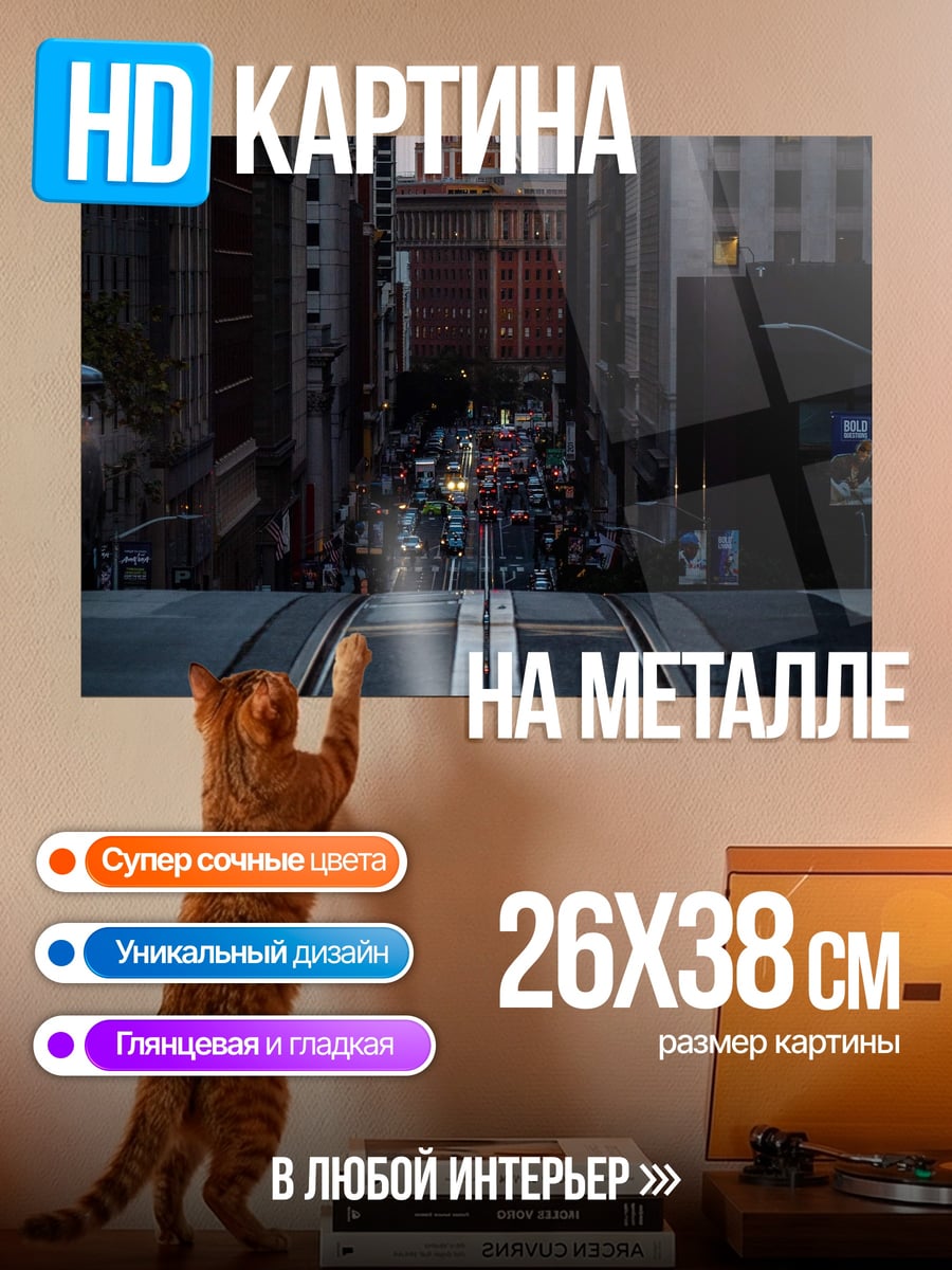 Картина на металле городской пейзаж Сан-Франциско